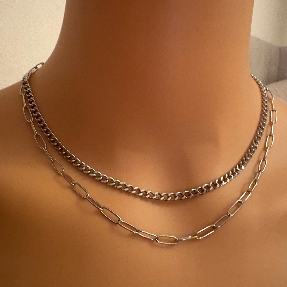 Nova & Co. Silver Stainless Steel necklace New in box